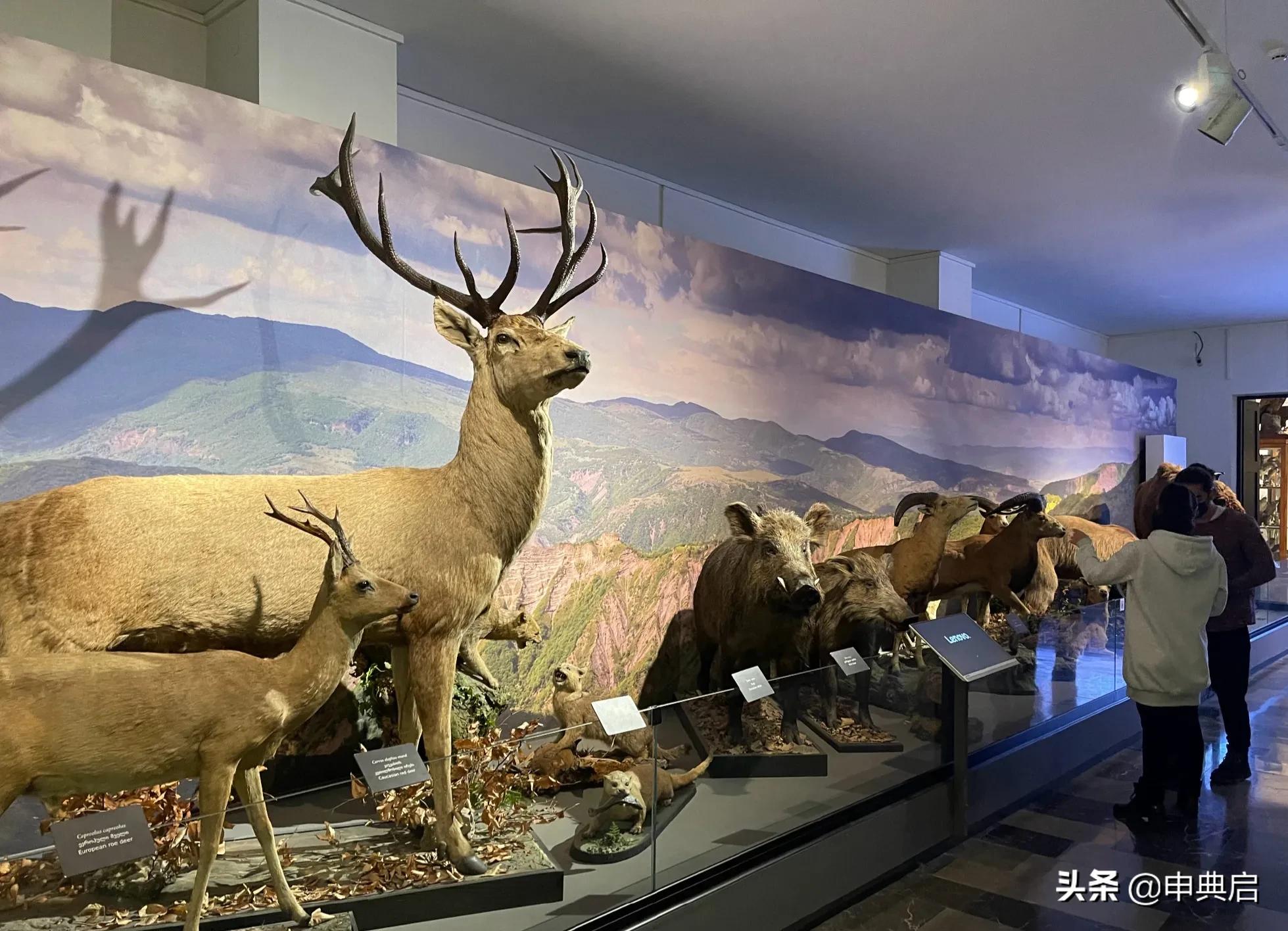 带小花园的目前看到最豪华墓地在格鲁吉亚，人均土地资源相当丰富