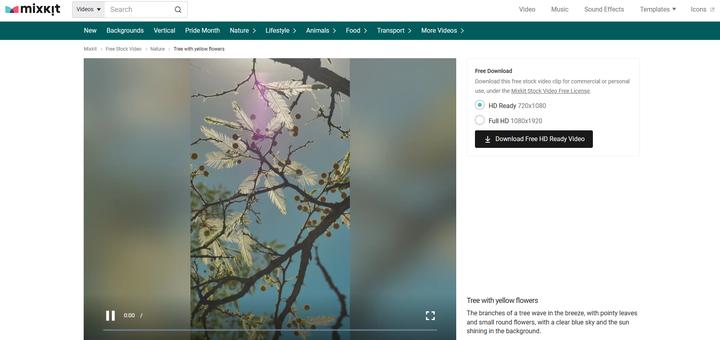 免费无版权素材网站有哪些,无版权全免费10个视频素材网站