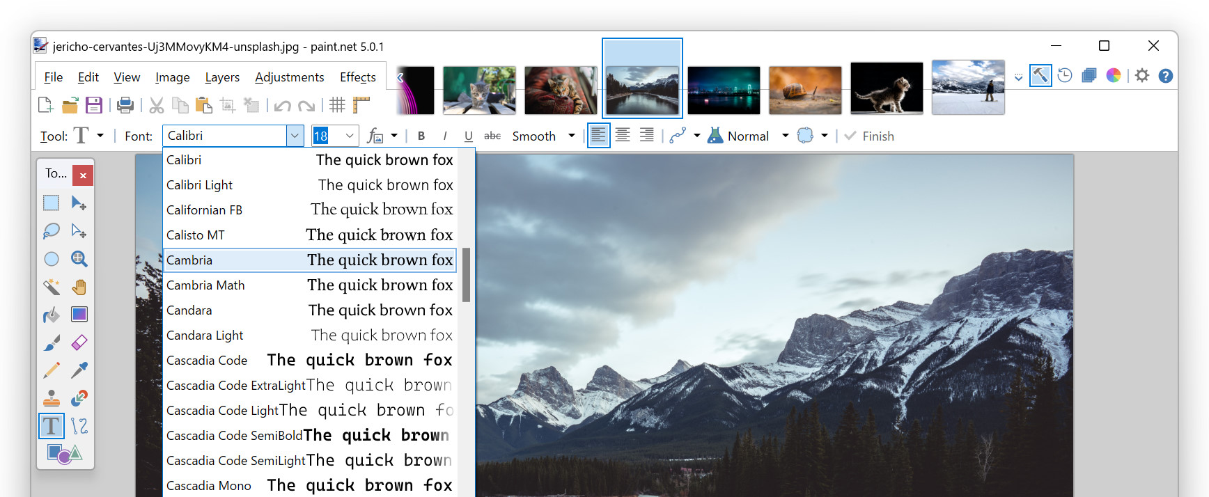 怎么使用paint.net更换图片背景,paint.net软件可以去水印吗