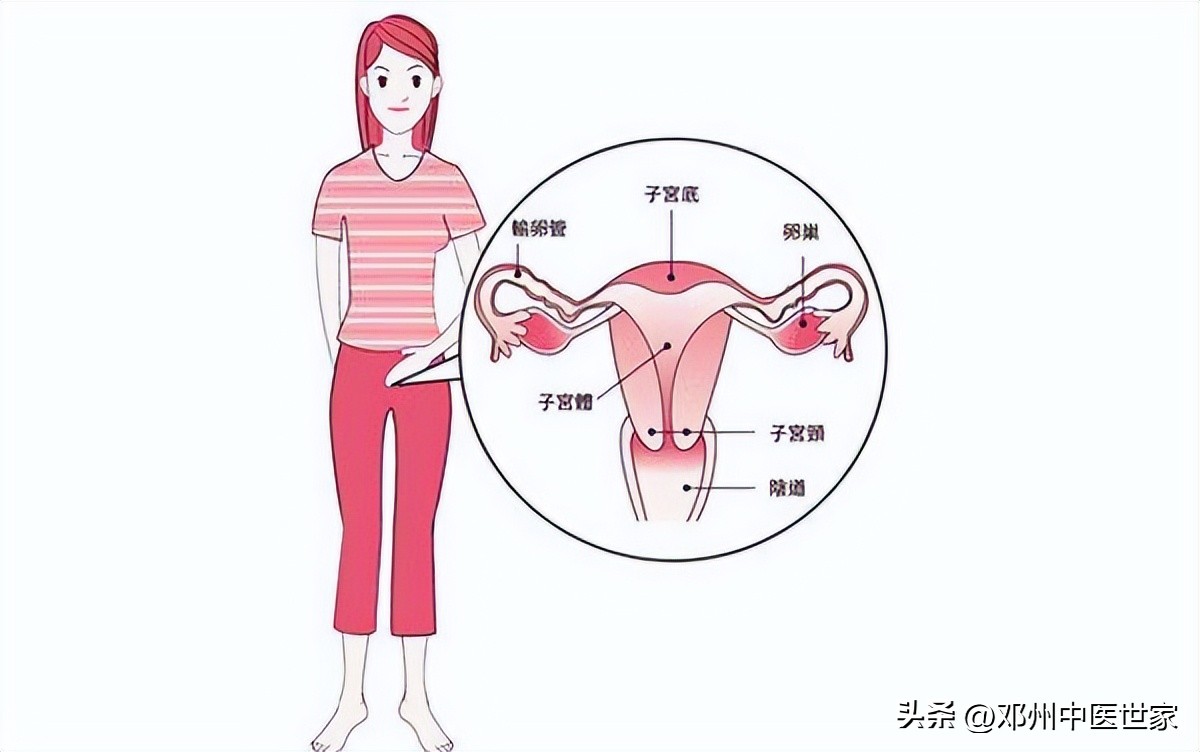 中医治疗女性不孕不育医院,中医治疗女性不孕处方