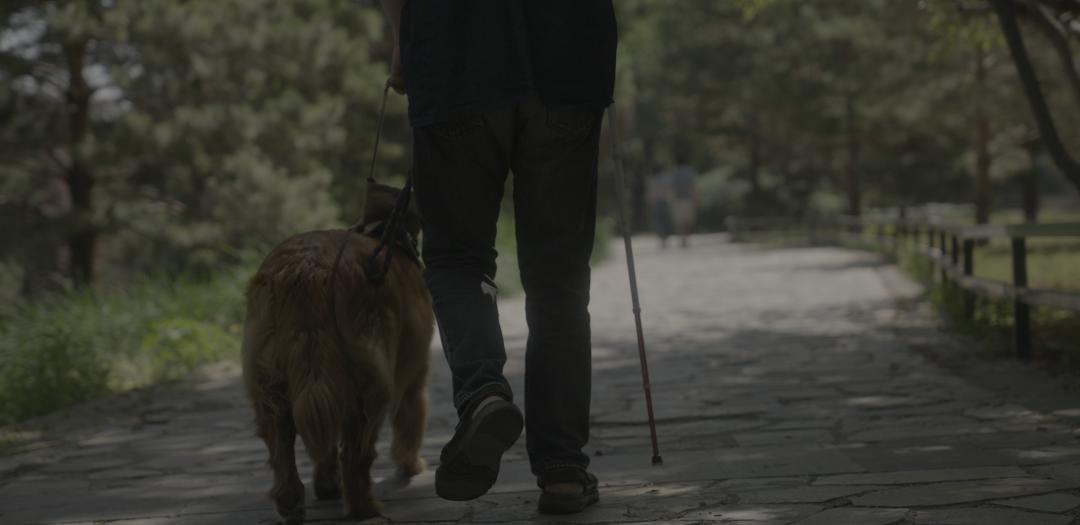 周云蓬视觉,周云蓬黑白照