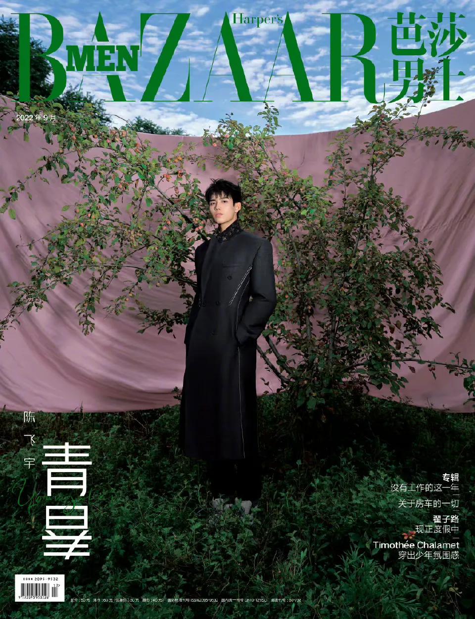 杨洋和汪顺,汪顺杨洋