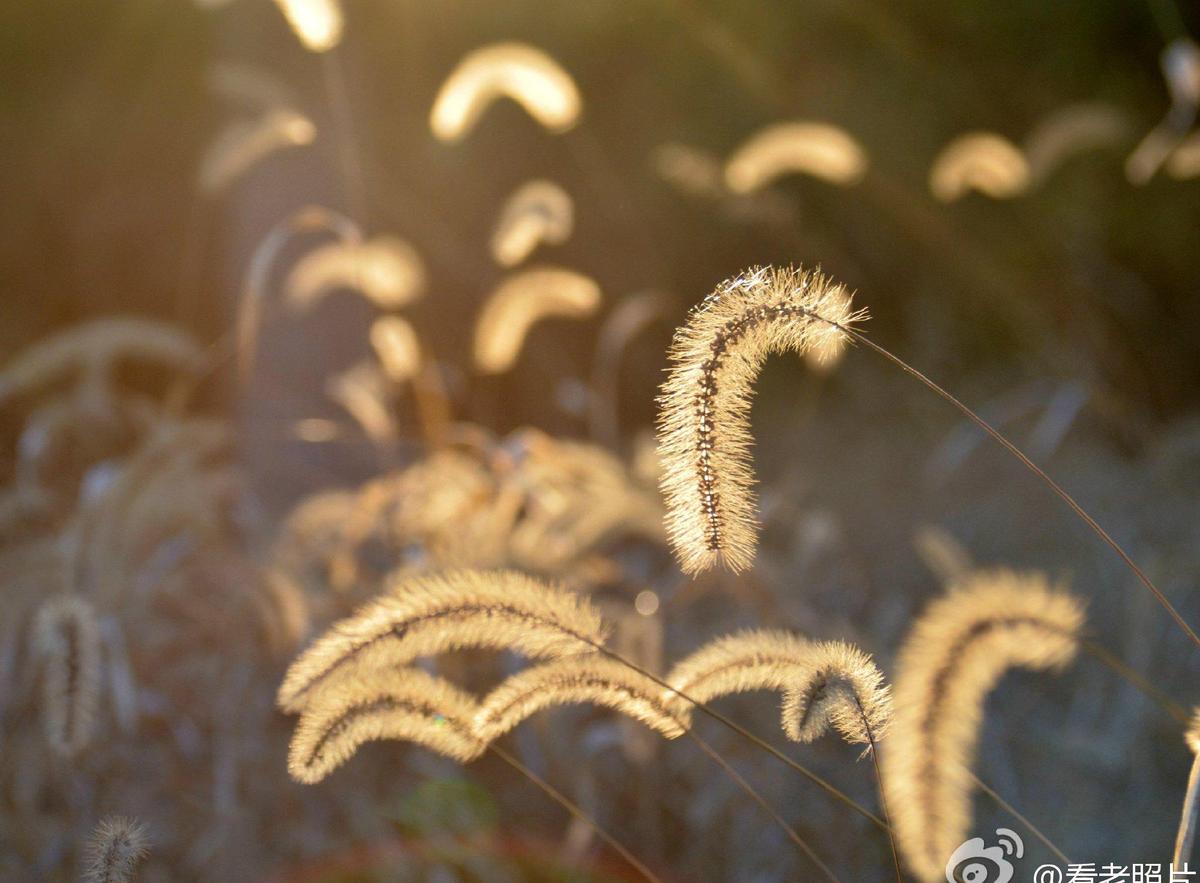 纳粹德国屠杀犹太女人,变态纳粹