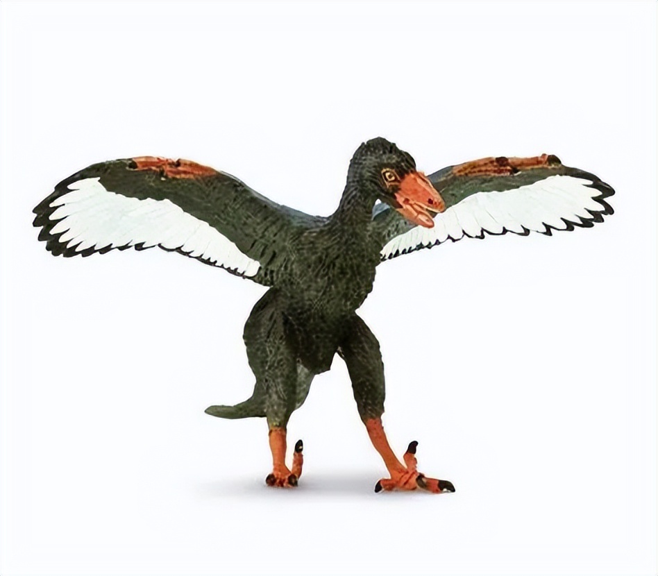 始祖鸟谣言,始祖鸟你不知道的用法