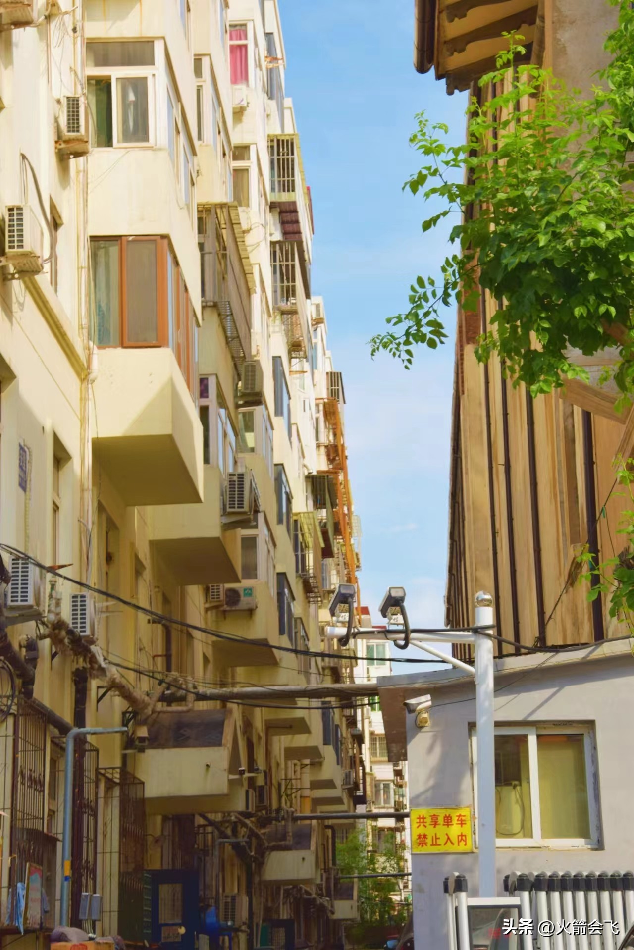 天津旅行攻略七日游价格多少,12小时极限游天津