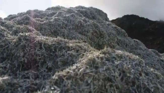 破损人民币银行回收,破损的人民币最终去哪里了