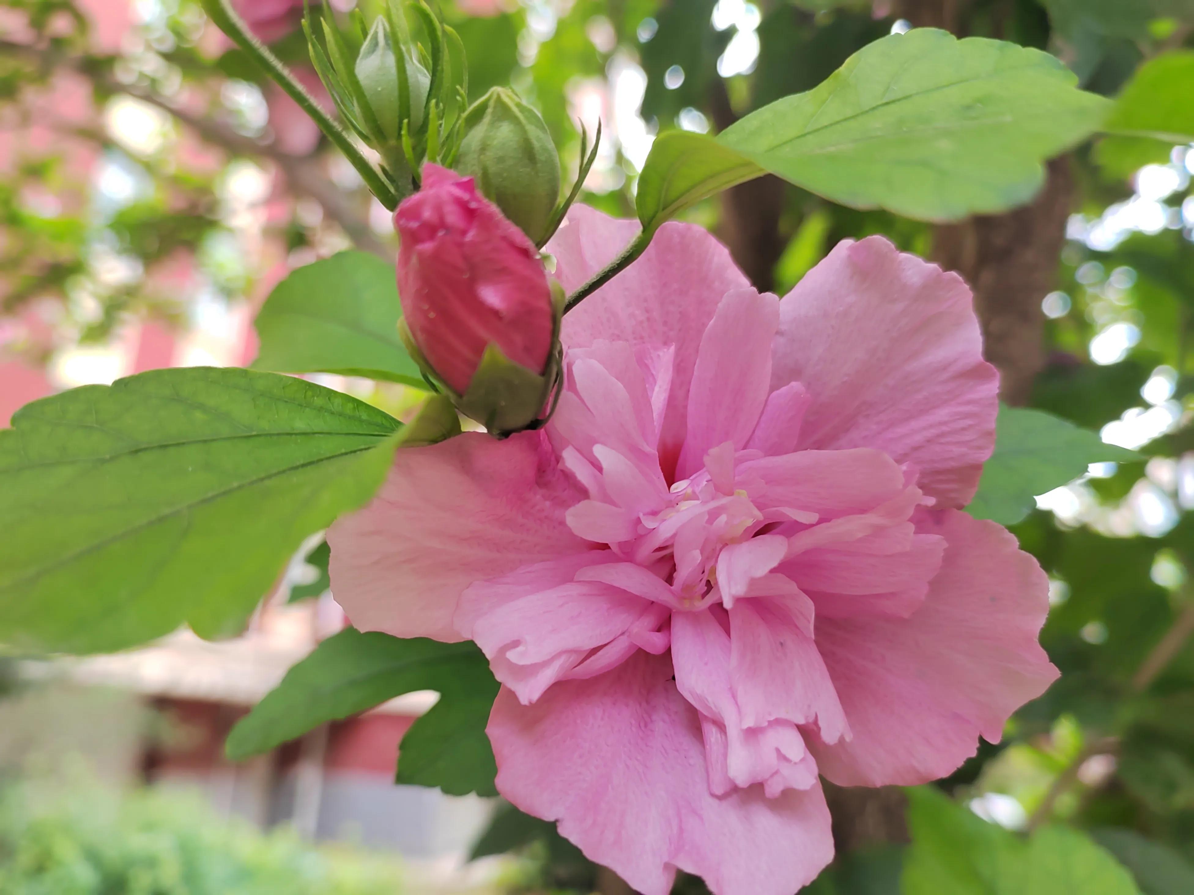 复盘一学期风雨耕耘路