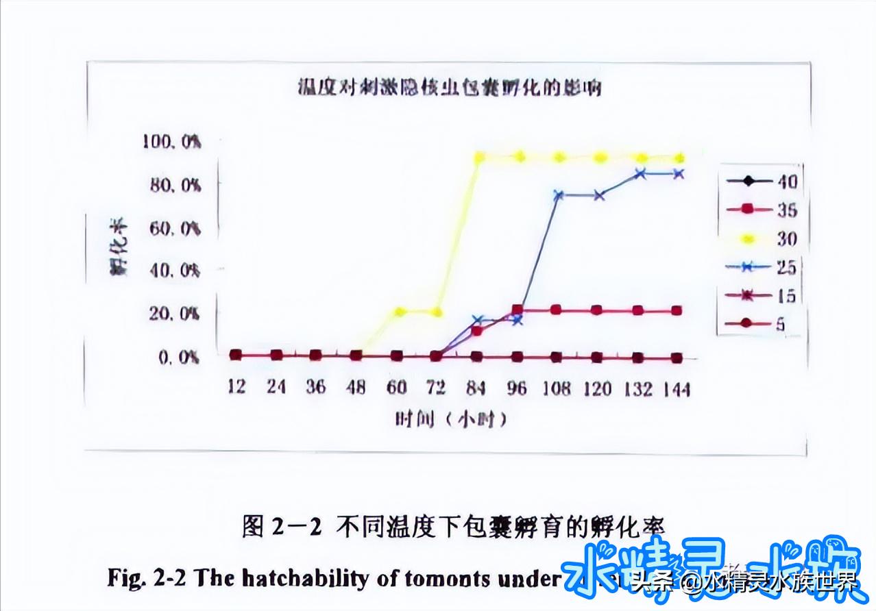 海缸白点病原因,海缸白点病怎么彻底清除