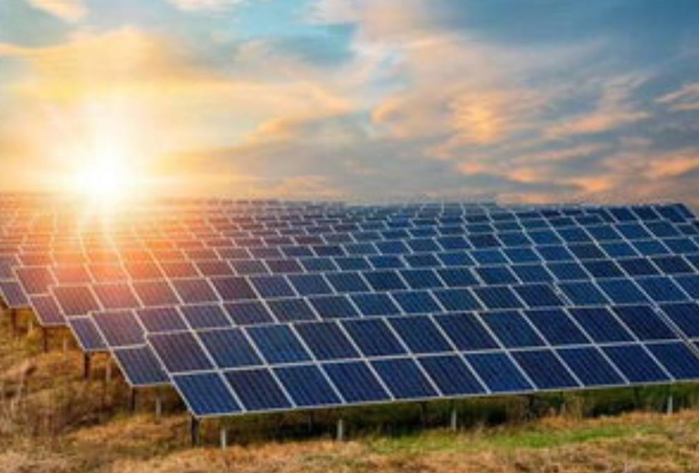 养鱼老板靠什么赚钱,一个养鱼池怎样经营才能挣到钱