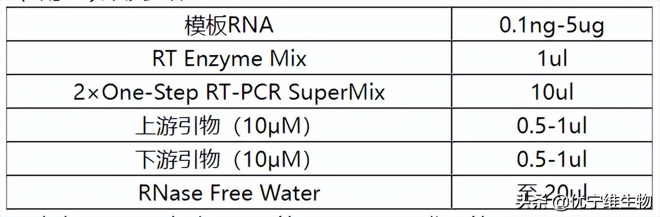真核原核生物细胞壁,真核生物标记基因