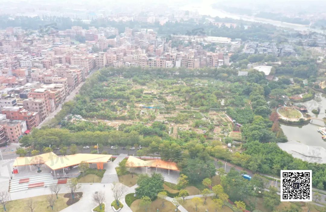 东莞近期将出让6宗居住用地,东莞挂牌三宗宅地