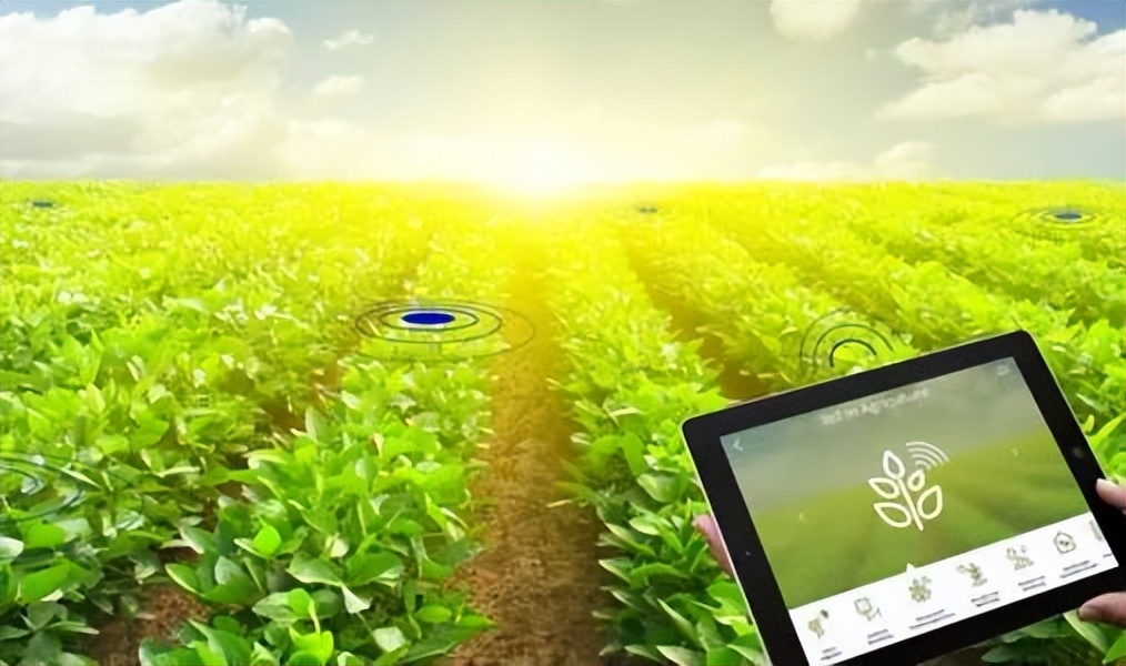 农业信息化和精准农业,农业信息化是在农业的什么领域