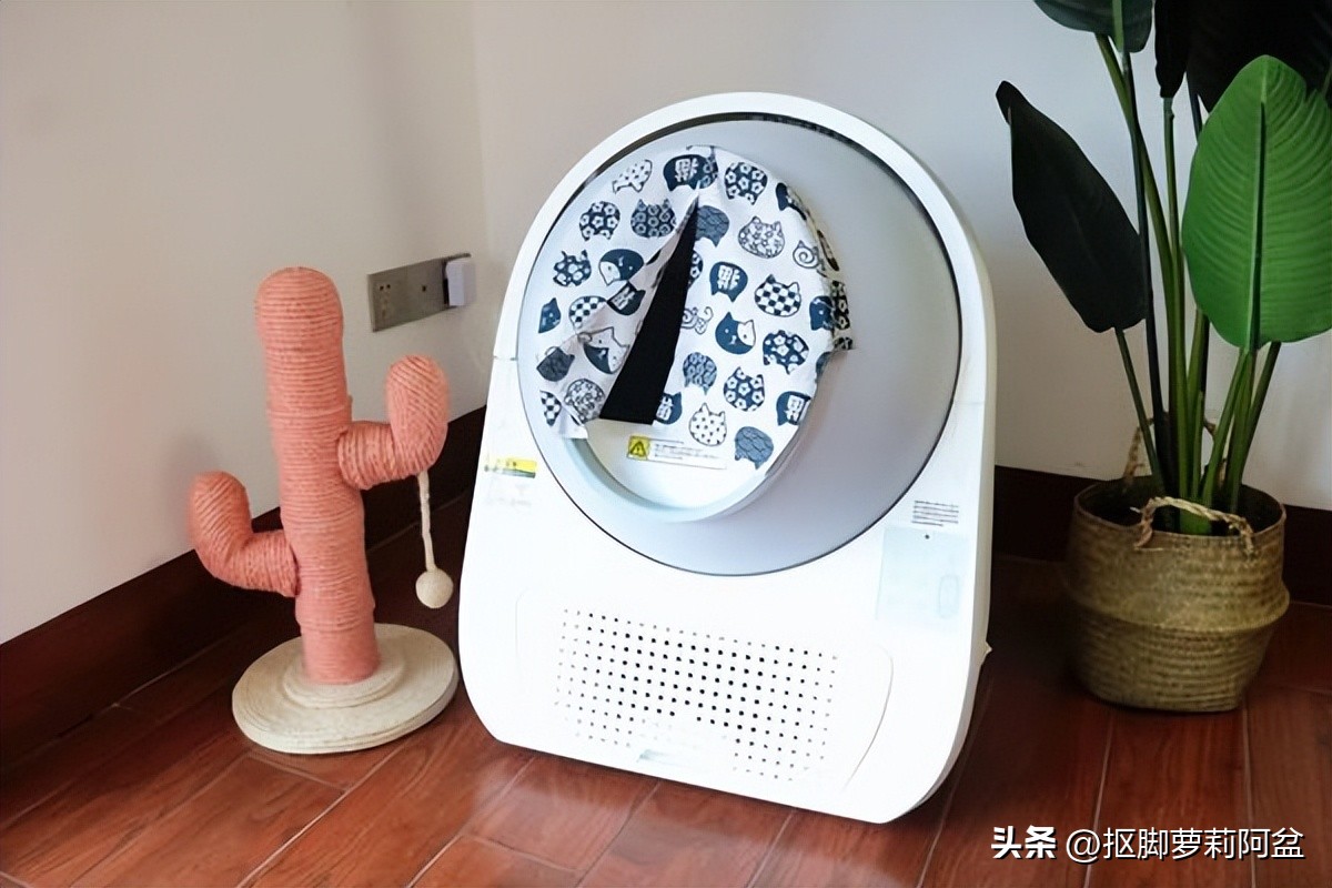 开放自动猫砂盆测评,有陪智能猫砂盆真实测评