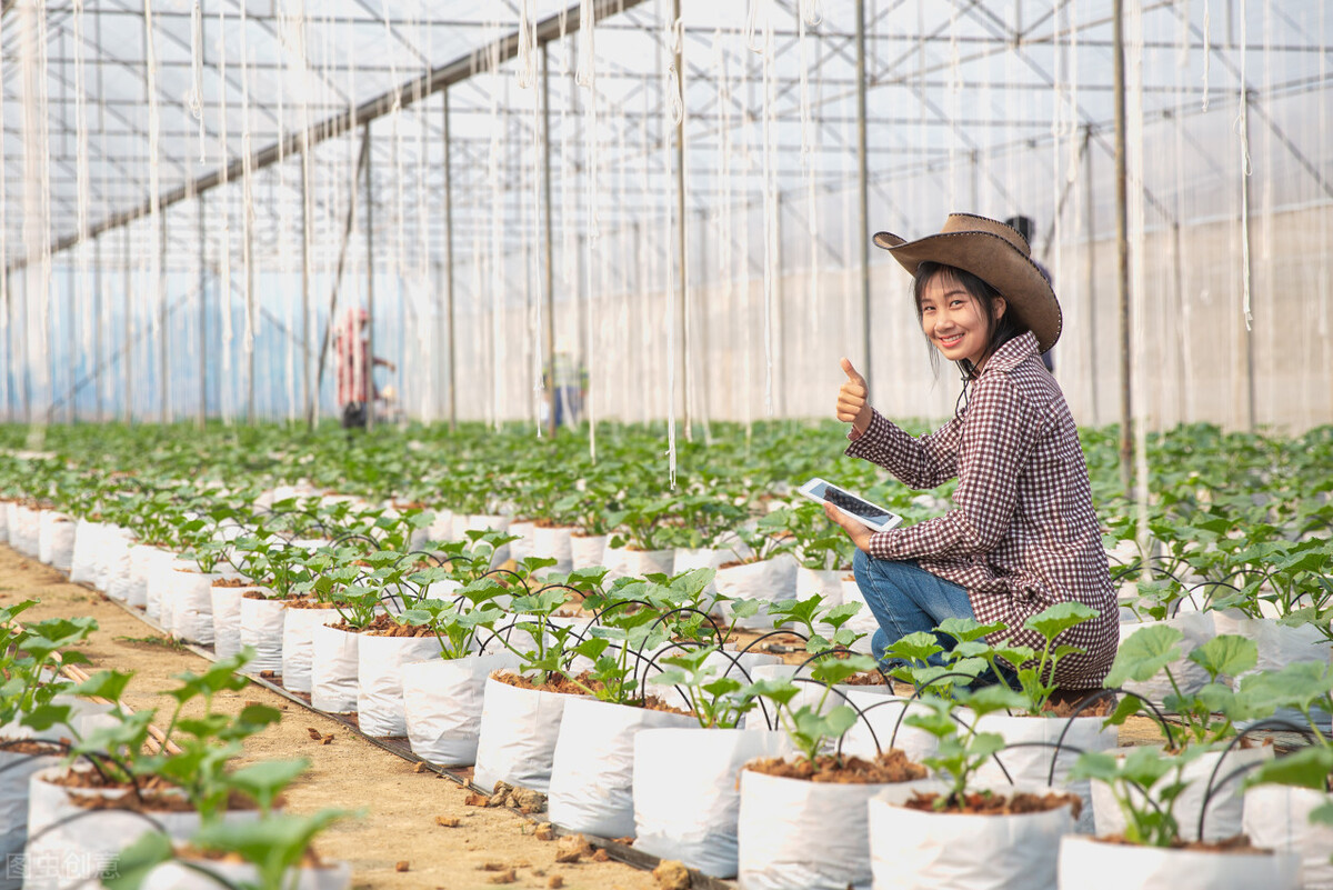 农村人的钱比城里人的好挣,农村人想方设法的去搞钱