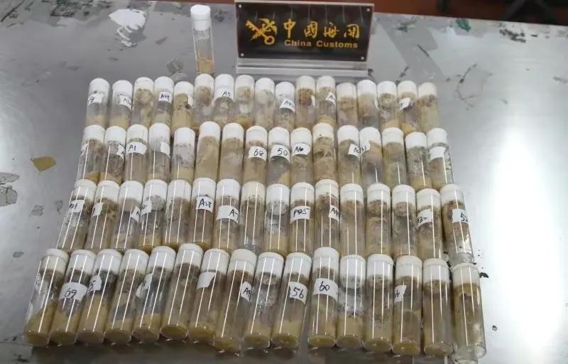 为什么总有人从国外邮寄外来物种,从美国邮寄东西到中国有关税吗