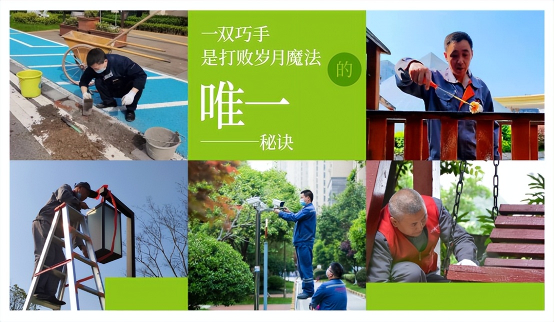 金科业主最新消息,业主疯狂点赞