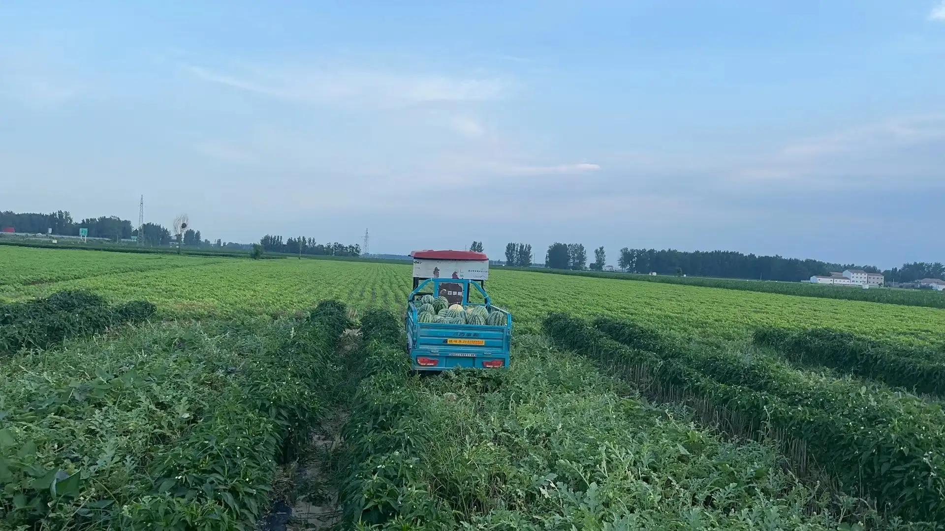 田园风光的古诗,田园风光纯音乐