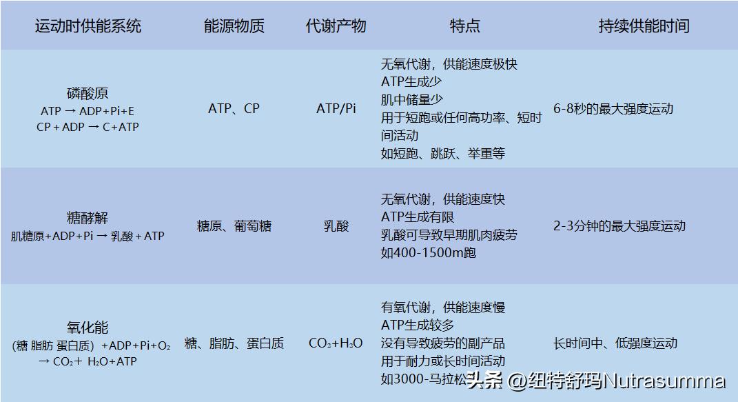 看世界杯补习地理知识,看世界杯训练
