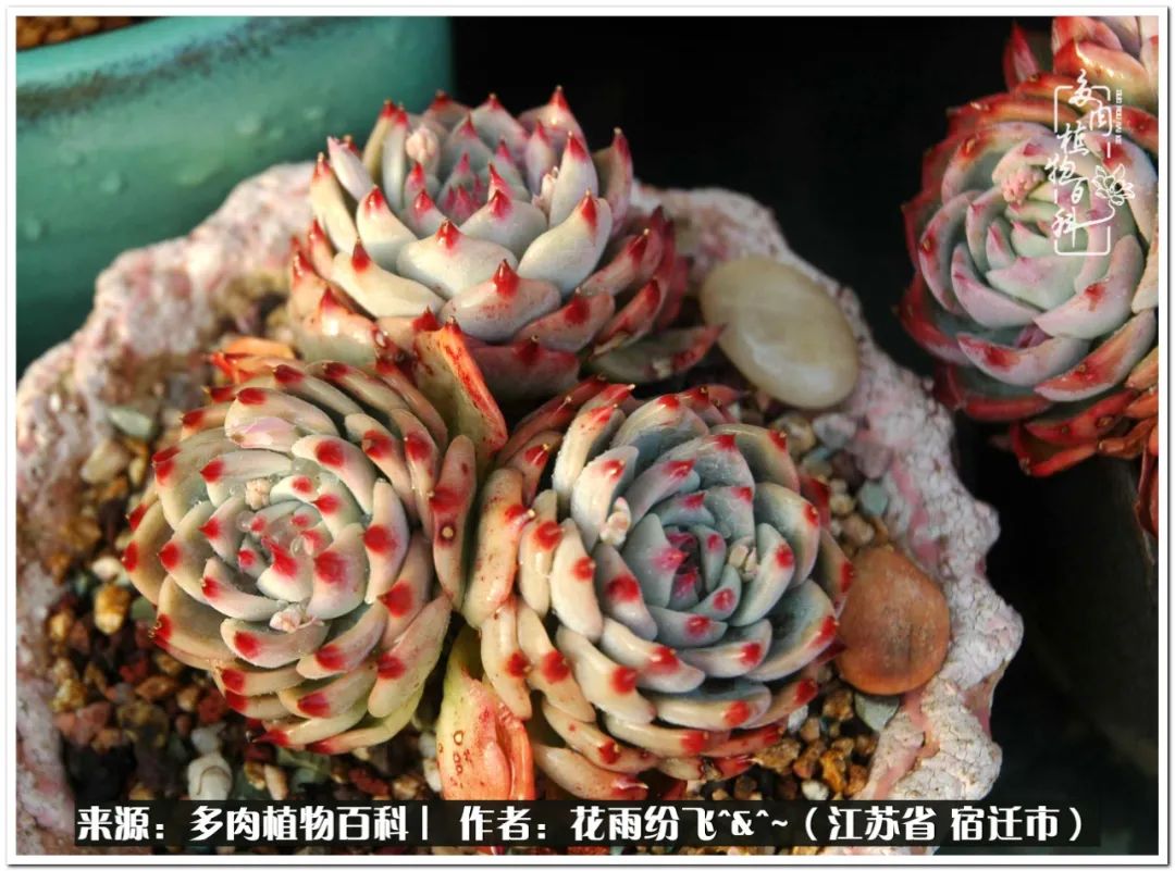 回味童年无忧无虑的快乐时光,童年最快乐的时光