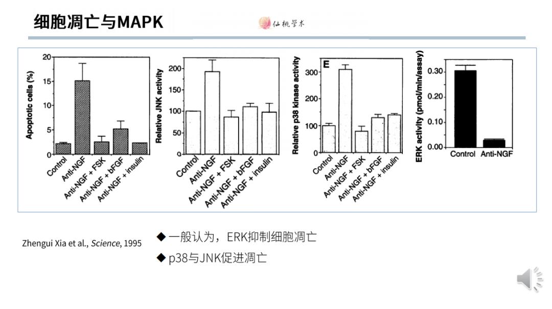 信号通路差异分析,常见的信号通路