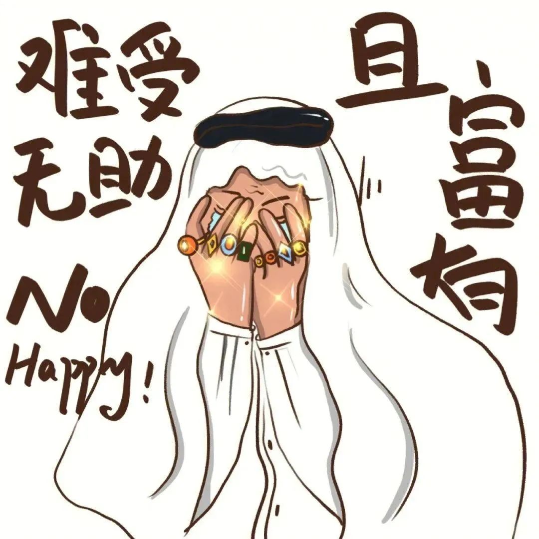 卡塔尔15岁小王子表情包,卡塔尔小王子气出表情包原视频