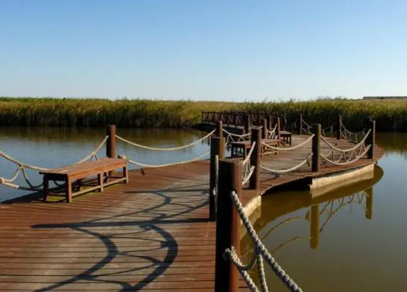 上海东滩湿地公园,上海东滩湿地公园旅游攻略