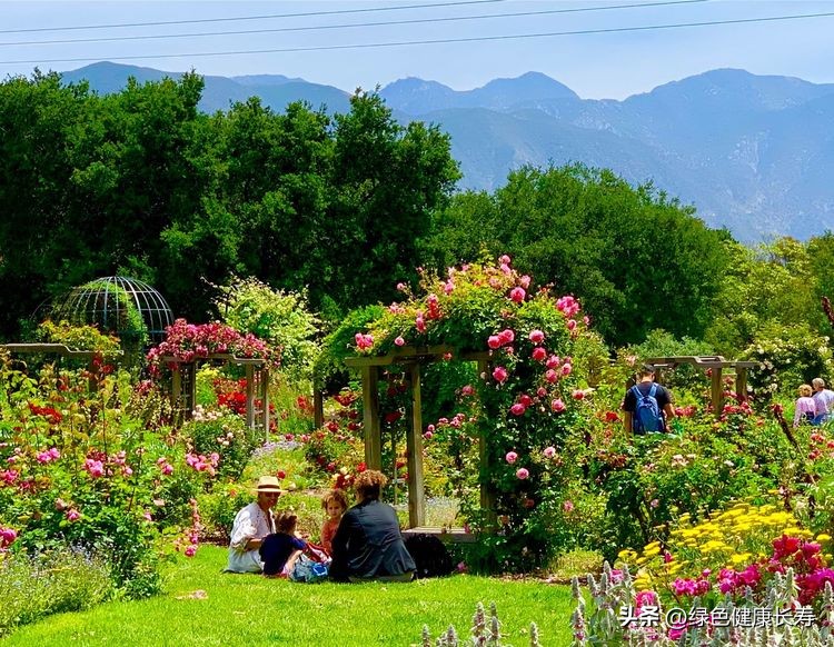 世界花园风景,世界花园