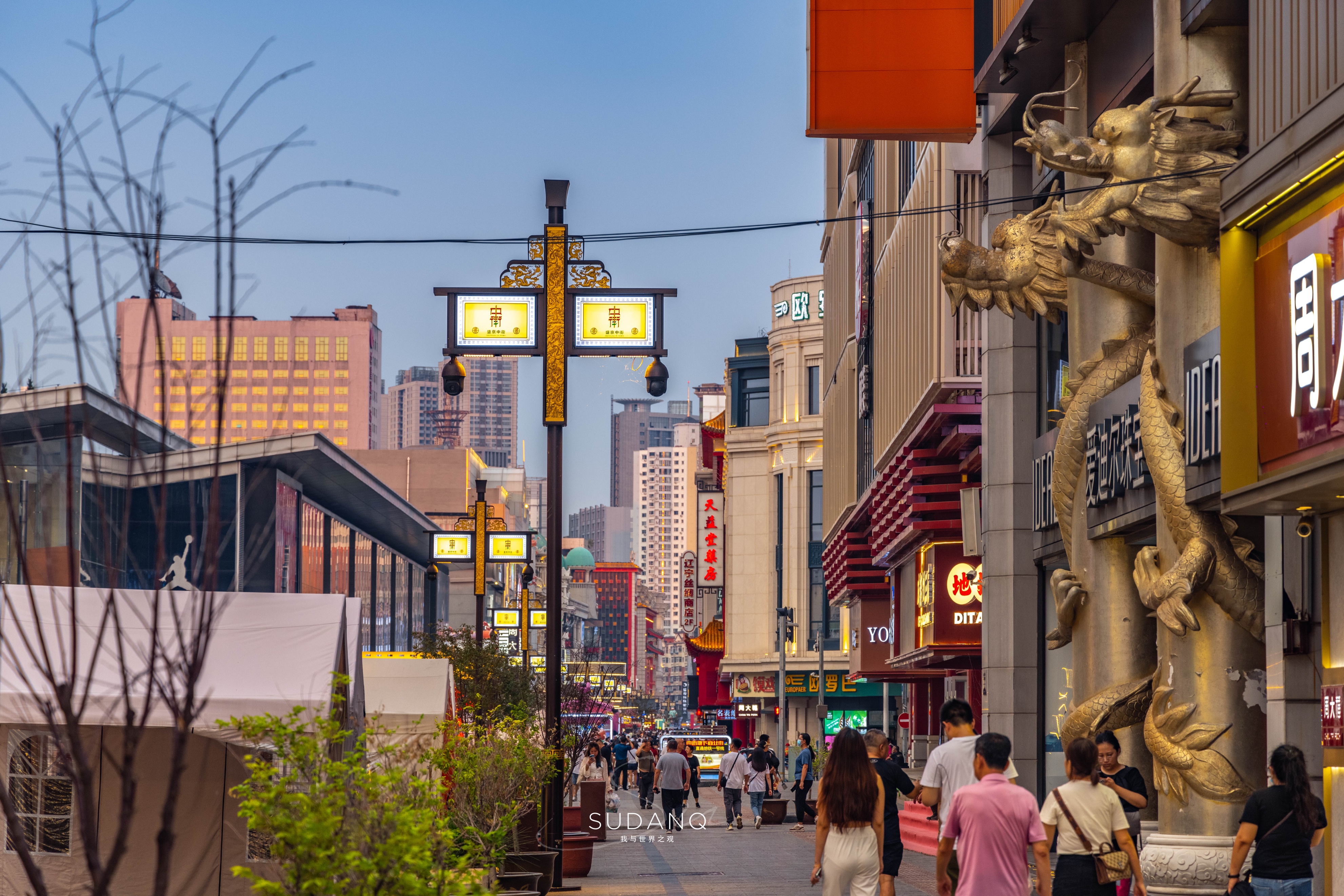 沈阳最发达的区,沈阳东北实力第一城