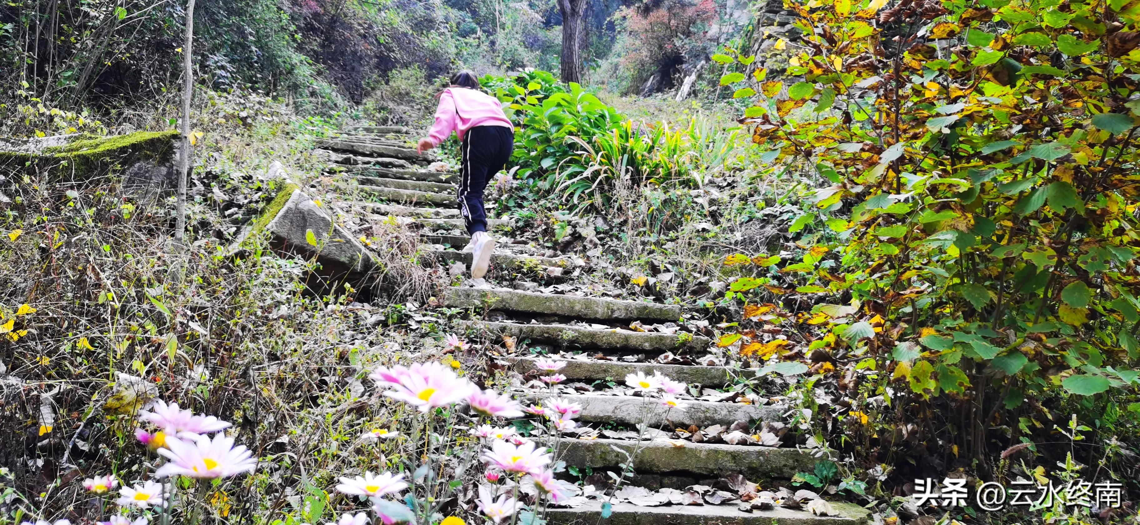 享个清福！到少有人知的峙峪看看漫山红叶，喝喝住山人清茶