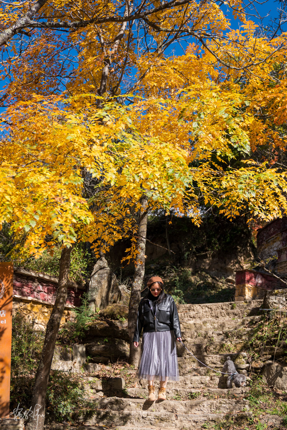 我的2022年度报告,我的2022原版