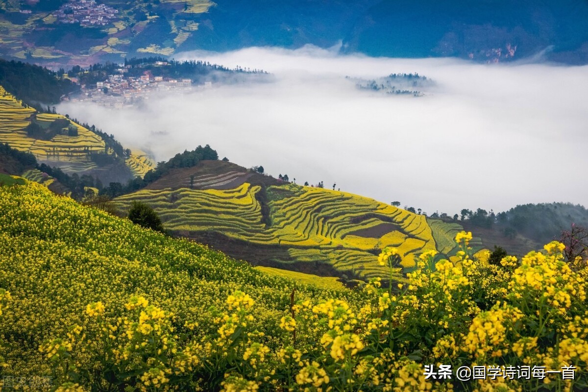 飞花令1000首必背诗词,飞花令古诗词1000句
