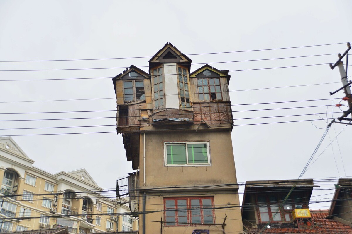 一个成功的项目应该具备哪些条件,鸽棚几间最好