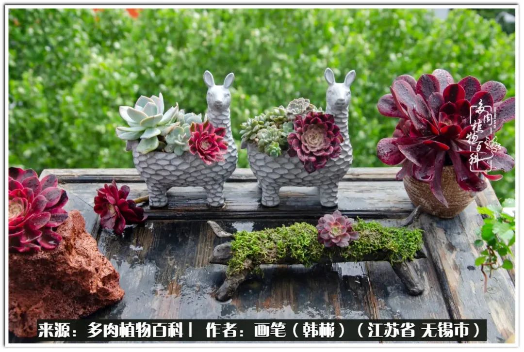 每个人的身旁都要有太阳,每个人都有一颗太阳