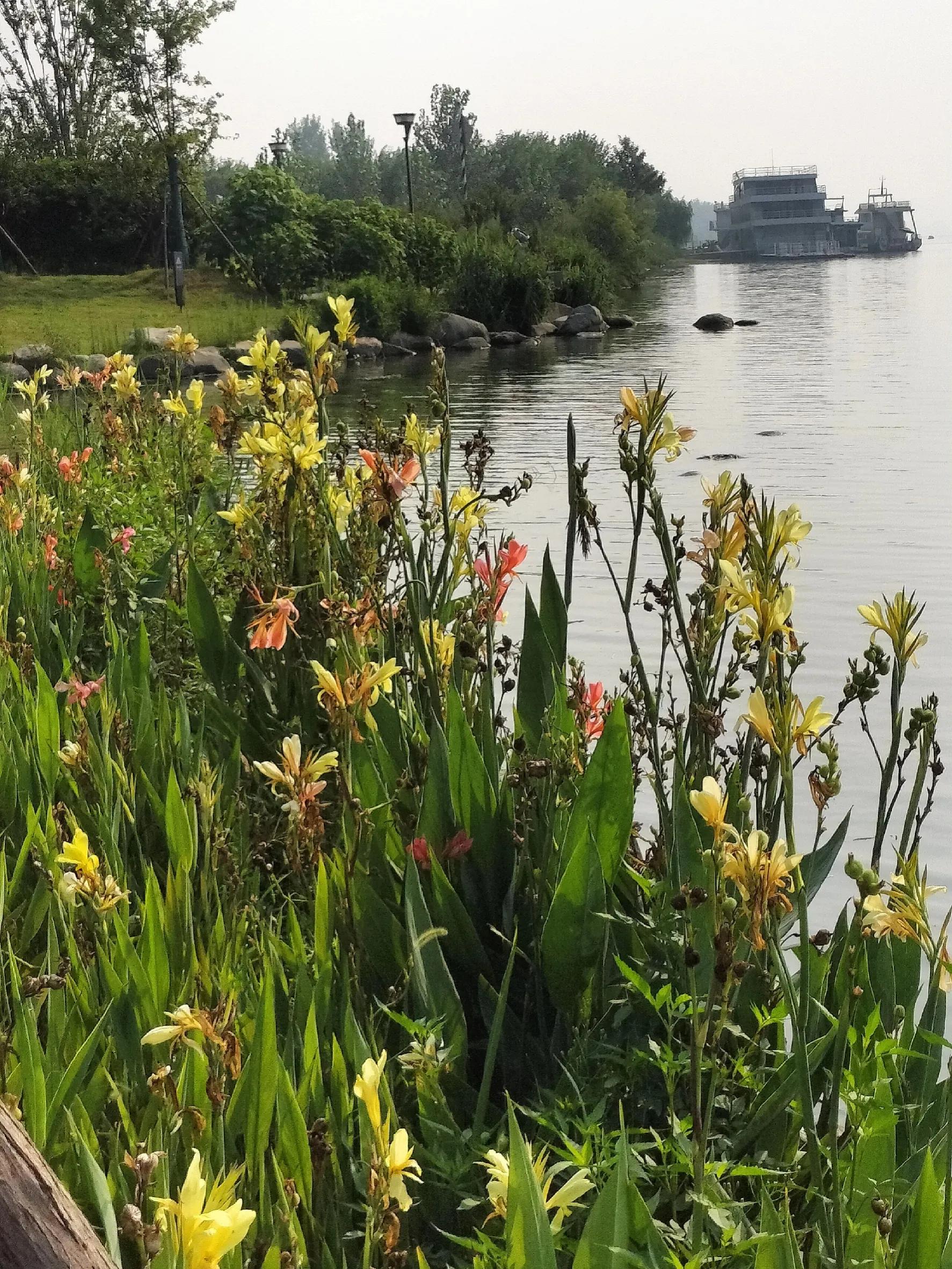 南渠:重拾碧水清波，呈现生态之美