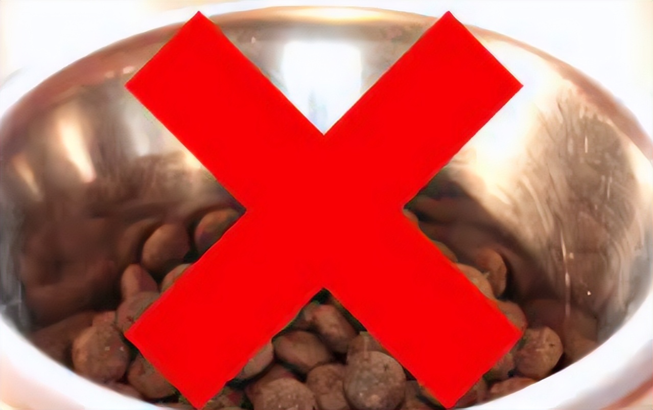 宠物挑食饿着怎么办,宠物挑食饿着还是惯着