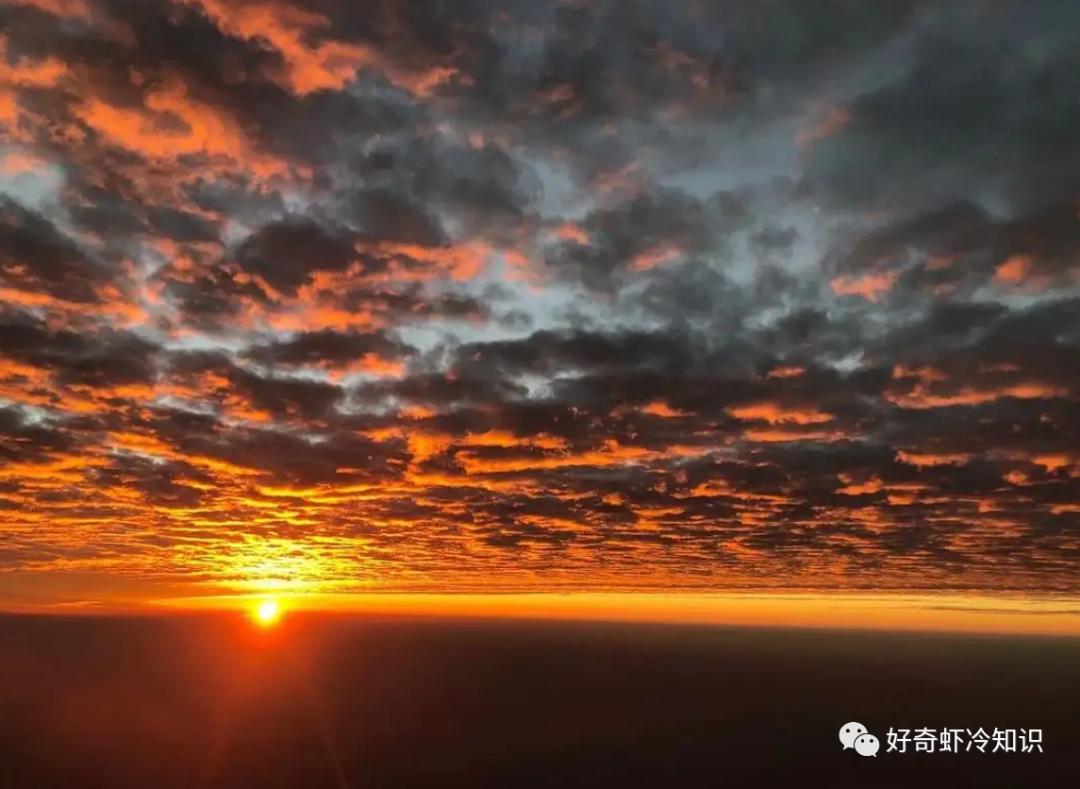 冷焰火并不冷？梦中梦是怎么一回事？提升御寒能力的食物？