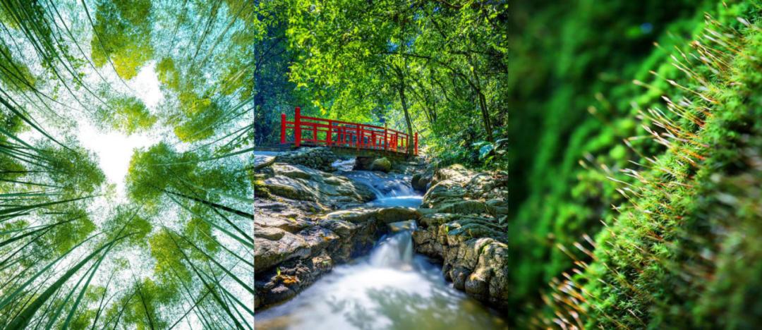 广州清远一日游必去景点,清远宝墩湖附近旅游攻略