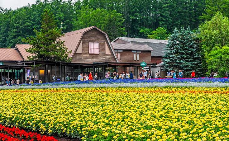 乡村旅游的十大盈利点,投资乡村旅游需要多少钱