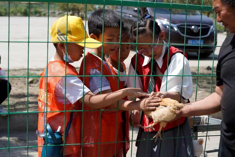 助力乡村振兴暑假研学实践活动,考察农耕田园研学基地目的