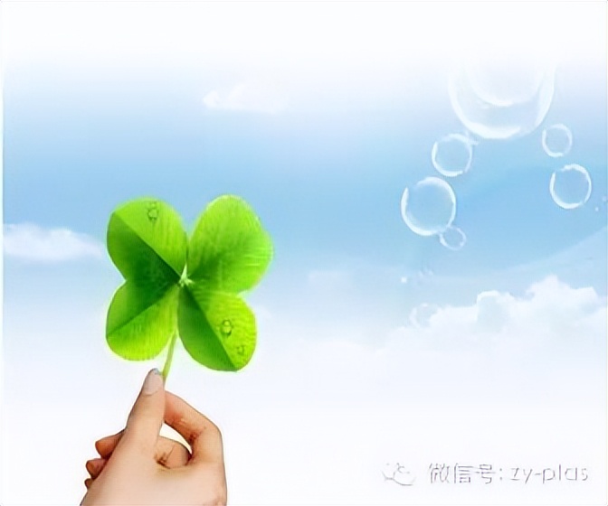 注塑厂故事外传|安意如版（文艺范）