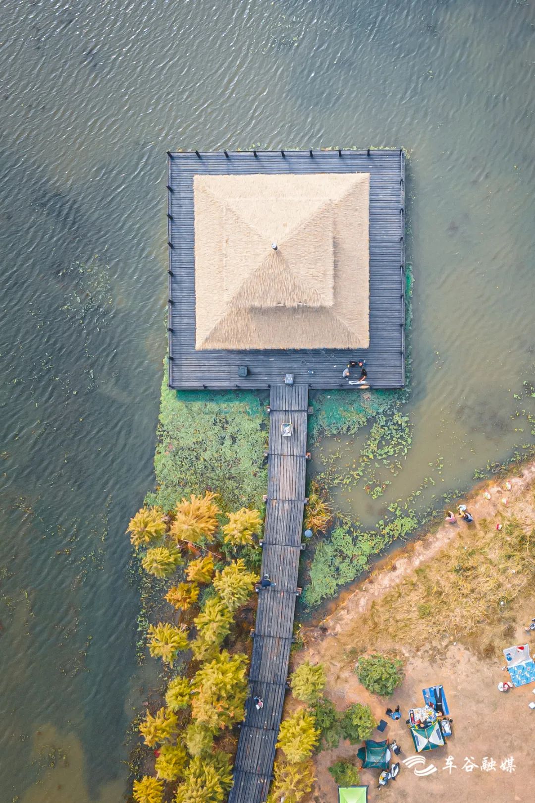 淘金山骑行绿道和东湖骑行绿道,周末绿道骑行一路都是美景