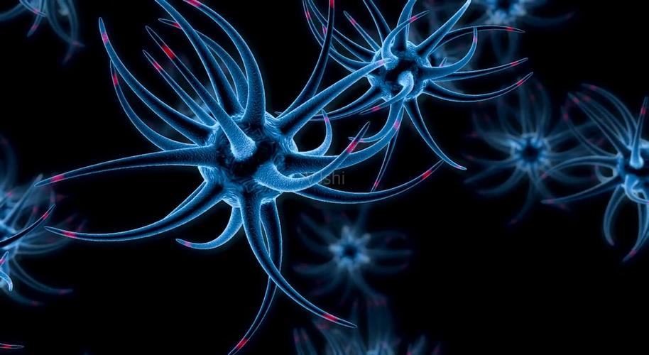 有冠心病的人敢吃甲钴胺片吗 (高血压冠心病患者能吃甲钴胺片吗)