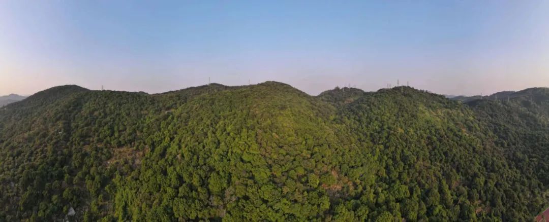 保利的科学城新盘，是坑吗？到底能不能买？