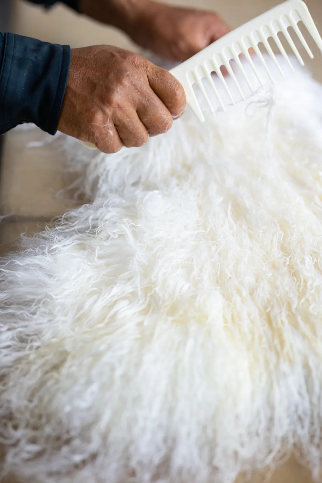 甘肃金昌的羊肉和盐池滩羊,盐池滩羊和横山羊肉