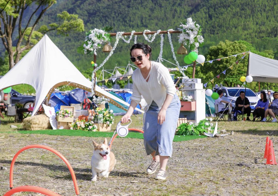 萌宠暴击！对不起我家狗子太萌了，想请你看一下！