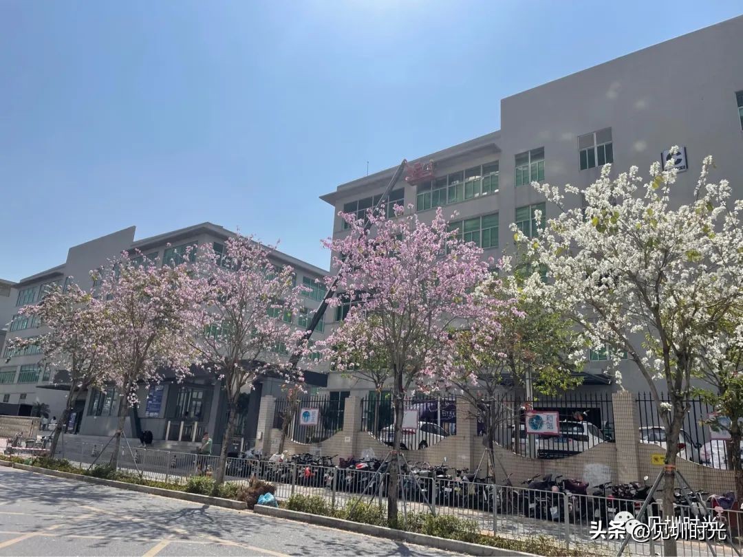 日新月异的城市面貌,日新月异的城区