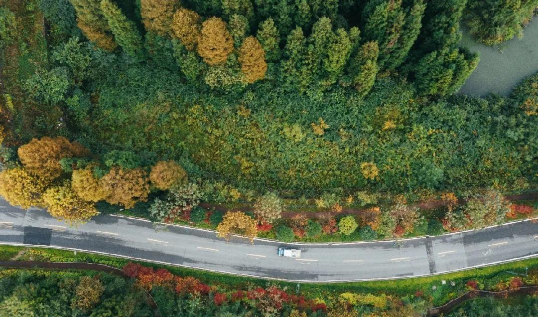 冬日养生泡汤,冬日赏雪泡温泉