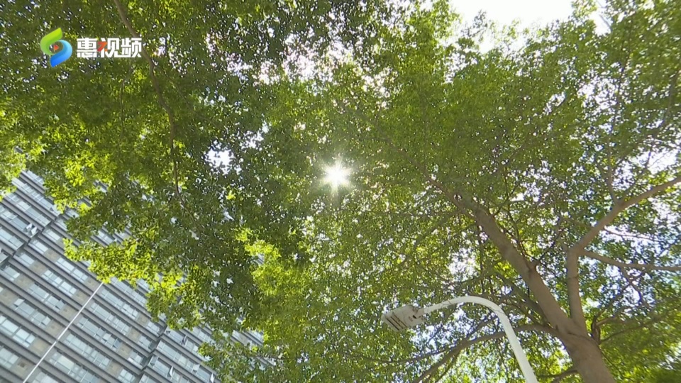 秋老虎发威气温飙升,秋老虎发威