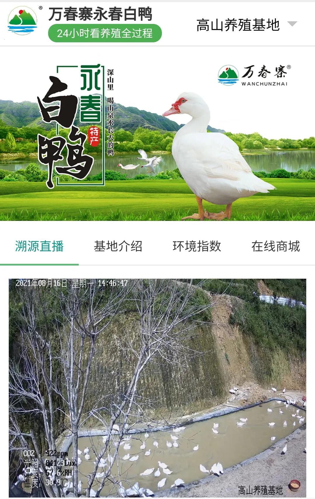 大数据物联网云,蜂巢云大数据